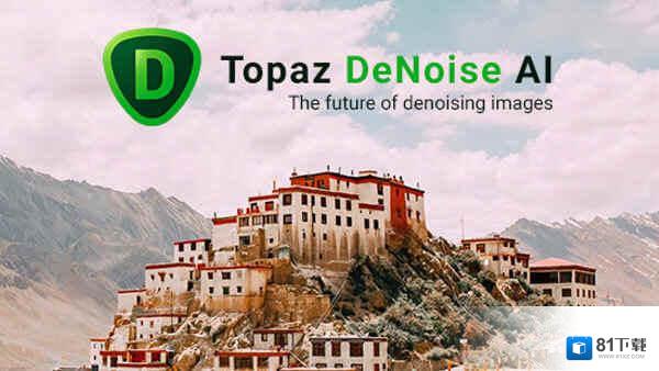 Topaz DeNoise AI 3.0