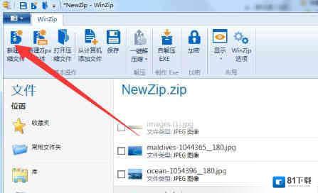 WinZip Pro 26