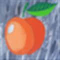 Apricot DB2.5下载