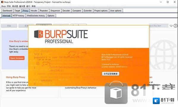 BurpSuite