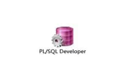 PL/SQL Developer绿色版v13.0.1.1893下載