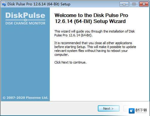 Disk Pulse Pro免费版下载(磁盘监测工具)