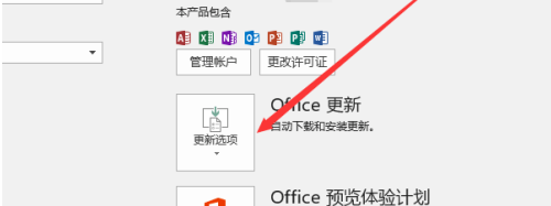 Office 365最新版本下载