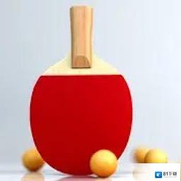 乒乓球模拟器v2.0.6安卓遊戲(手遊)下載