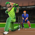 玩世界板球联赛游戏v1.0安卓游戏(手游)下载