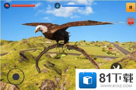 老鹰模拟游戏3D正式版图片1